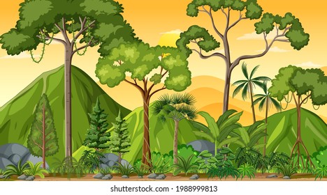 Escenario del paisaje forestal al atardecer con muchas ilustraciones de árboles diferentes