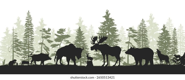 Forest landscape silhouette. Wildlife drawing with north american animals. Travel scene with elk, boar and bear. European natural panorama. Vector illustration