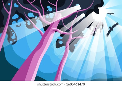 Forest landscape, sunlight going through tree leaves. morning in woods