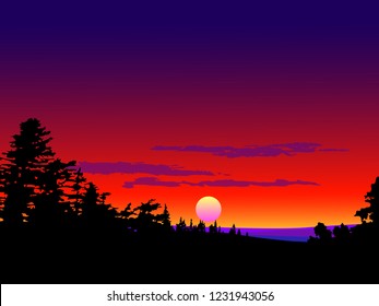 forest landscape in sunset illustration