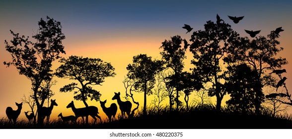 A Forest Landscape with Tree,animal background  in africa,Twilight of nature.