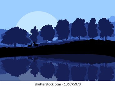 Forest landscape with trees and reflection in water vector background