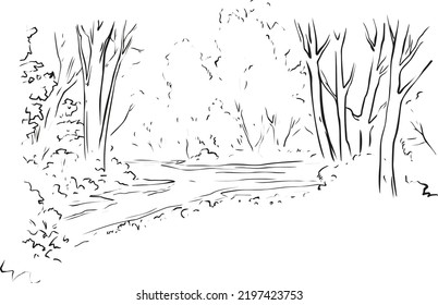 forest landscape, trees vector illustration art.