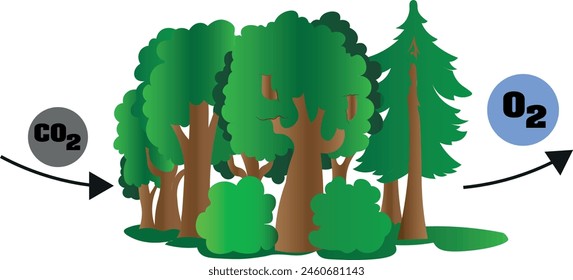 forest landscape vector illustration ecology