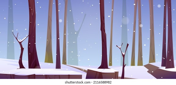 Forest landscape with white snow, tree trunks and path in winter. Vector cartoon illustration of natural park, garden or wood with bare trees and snowfall