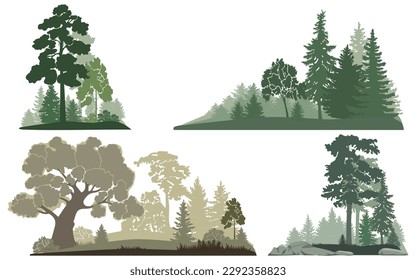 Forest landscapes set, vector illustration.