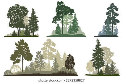 Conjunto de paisajes forestales, ilustración vectorial.