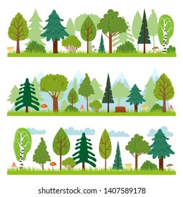 Forest landscapes. Woodland nature trees panorama, forests environment and pine tree vector illustration