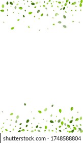 Forest Leaf Abstract Vector Template. Tea Greens Brochure. Swamp Leaves Blur Illustration. Foliage Spring Branch.