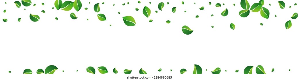 Forest Leaf Ecology Vector Panoramic White Background. Tree Greens Branch. Grassy Leaves Forest Plant. Foliage Spring Pattern.