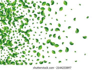 Forest Leaf Ecology Vector White Background. Blur Greens Concept. Grassy Foliage Abstract Branch. Leaves Realistic Illustration.