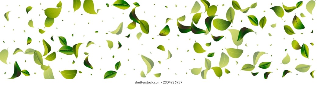 Concepto de fondo de vectores Panorámicos blancos de la ecología de la hoja forestal. Resumen Deja Brochure. Rama Forestal de la Fábrica de la Moneda. Diseño de la Naturaleza Verde.