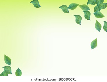 Forest Leaf Falling Vector Green Background Border. Abstract Leaves Plant. Green Foliage Herbal Template. Greenery Fly Banner.