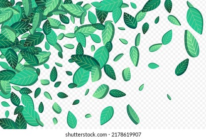Forest Leaf Falling Vector Transparent Background Wallpaper. Tea Foliage Border. Lime Leaves Swirl Banner. Greens Wind Plant.
