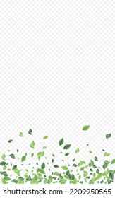 Forest Leaf Fly Vector Transparent Background Concept. Tree Foliage Poster. Green Leaves Wind Banner. Greenery Herbal Design.