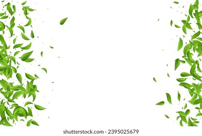 Forest Leaf Fly Vector White Background Poster. Motion Foliage Template. Grassy Leaves Nature Plant. Greens Abstract Wallpaper.