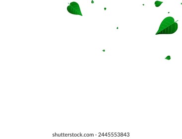 Forest Leaf Fly Vector White Background Design. Realistic Greens Concept. Grassy Leaves Swirl Template. Foliage Tea Branch.