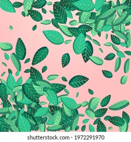 Forest Leaf Flying Vector Pink Background Poster. Realistic Greens Template. Swamp Foliage Spring Background. Leaves Wind Plant.