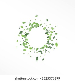 Forest Leaf Flying Vector White Background Brochure. Fly Leaves Illustration. Swamp Greenery Ecology Wallpaper. Foliage Nature Banner.