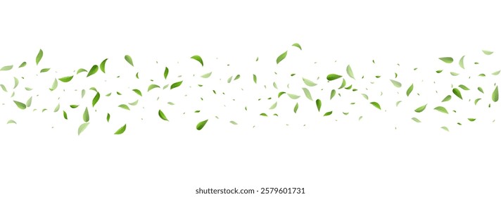 Forest Leaf Fresh Vector Panoramic White Background Illustration. Herbal Foliage Wallpaper. Grassy Leaves Tea Concept. Greens Nature Poster.