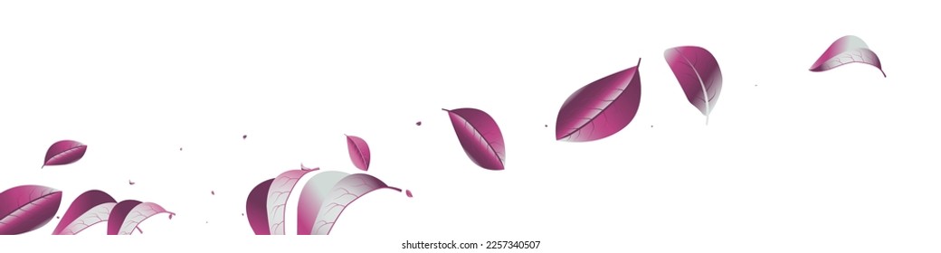 Forest Leaf Fresh Vector White Panoramic Background Design. Herbal Solar Brochure. Violaceous Foliage Flying Pattern. Leaves Organic Branch.