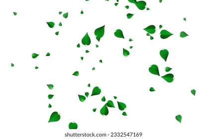 Forest Leaf Herbal Vector White Background Wallpaper. Swirl Greens Brochure. Swamp Leaves Organic Branch. Foliage Falling Template.