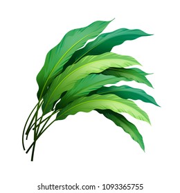Forest Leaf Icon isolated on White Background. Vector Illustration. Nature Realistic Decorative Design. Beautiful Summer Element for Fashion, Web, Holidays, Travel.