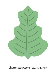 icono de hoja de bosque sobre blanco