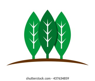 forest leaf leaves plant nature herb image icon vector