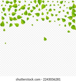 Forest Leaf Motion Vector Transparent Background Branch. Fly Greens Backdrop. Grassy Foliage Nature Wallpaper. Leaves Flying Banner.