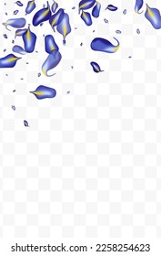Forest Leaf Nature Vector White Transparent Background Template. Fresh Leaves Illustration. Violaceous Foliage Ecology Brochure. Iris Wind Plant.