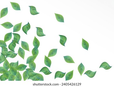 Forest Leaf Organic Vector White Background Illustration. Ecology Greenery Pattern. Swamp Foliage Blur Backdrop. Leaves Realistic Plant.