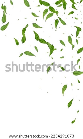 Forest Leaf Organic Vector White Background Poster. Fly Foliage Illustration. Green Greens Tree Pattern. Leaves Herbal Branch.