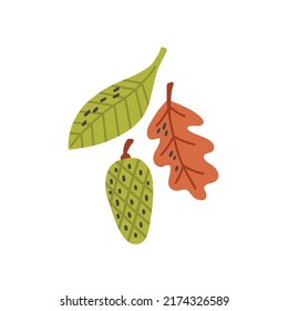 Forest Leaf Pine Cone Clipart. Children Design Isolated Element Vector Doodle Naive Art Illustration