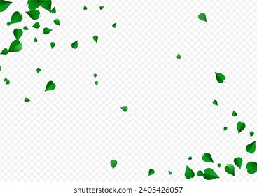 Forest Leaf Realistic Vector Transparent Background Wallpaper. Fresh Greens Template. Lime Leaves Fly Branch. Foliage Wind Brochure.