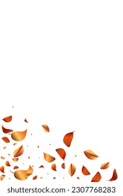 Forest Leaf Realistic Vector White Background Banner. Organic Solar Pattern. Yellow Leaves Wind Wallpaper. Foliage Tea Backdrop.