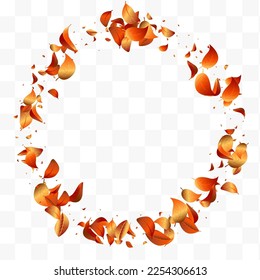 Forest Leaf Spring Vector White Transparent Background Brochure. Fly Solar Concept. Golden Leaves Wind Template. Foliage Tea Plant.