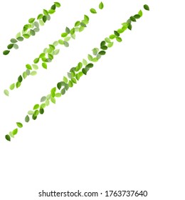 Forest Leaf Swirl Vector Concept. Transparent Leaves Pattern. Swamp Greens Ecology Background. Foliage Spring Plant.