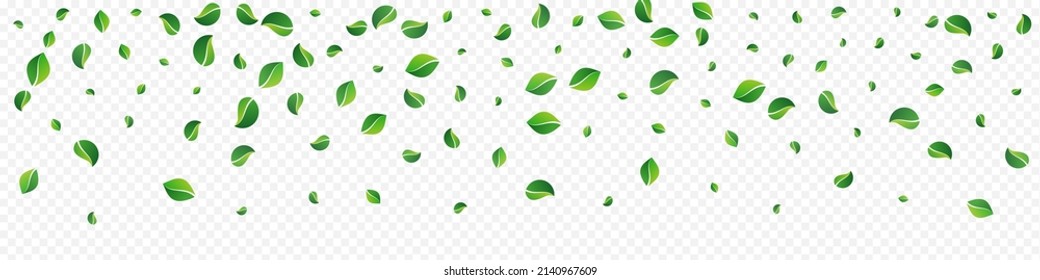 Forest Leaf Swirl Vector Panoramic Transparent Background. Flying Foliage Concept. Olive Leaves Herbal Illustration. Greens Realistic Pattern.