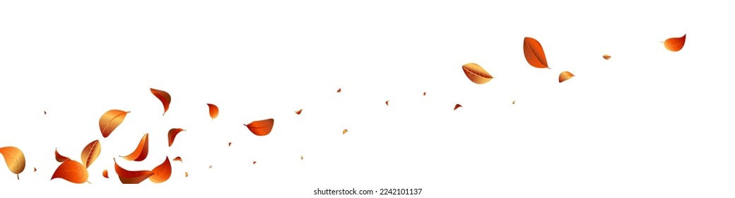 Diseño Panorámico de Fondo Blanco con Vector Swirl Leaf Forestal. Ilustración Solar Eólica. El Concepto De Las Hojas Doradas Es Desenfocado. Fondo De Movimiento De Foliage.
