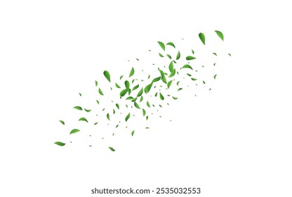 Forest Leaf Swirl Vector White Background Brochure. Abstract Foliage Design. Green Greens Tree Template. Leaves Transparent Pattern.