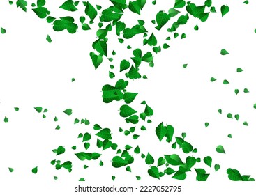 Forest Leaf Tea Vector White Background Branch. Forest Leaves Illustration. Mint Greens Organic Concept. Foliage Tree Brochure.