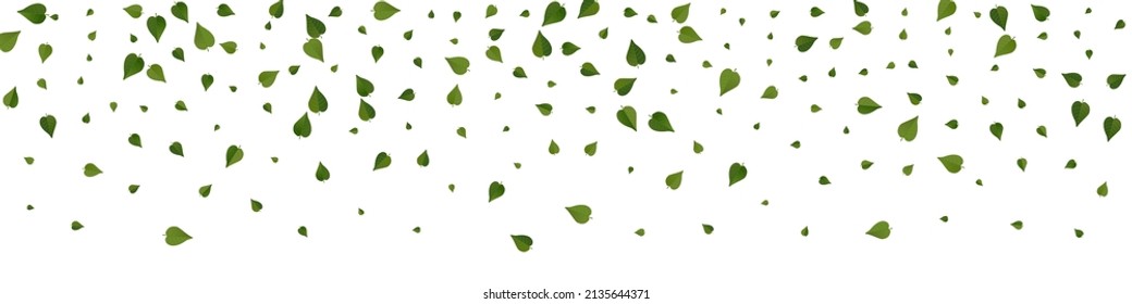 Forest Leaf Transparent Vector Panoramic White Background Wallpaper. Swirl Foliage Concept. Green Leaves Flying Template. Greens Herbal Brochure.