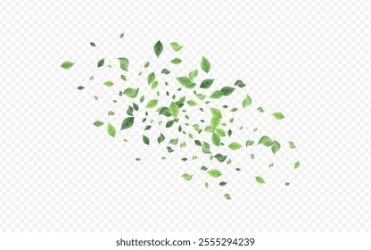 Forest Leaf Forest Vector Transparent Background Concept. Tree Greenery Border. Lime Foliage Wind Backdrop. Leaves Blur Brochure.