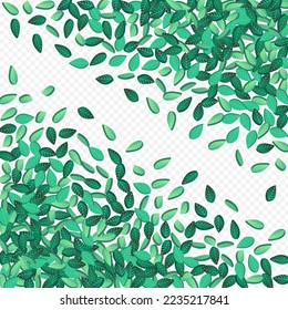 Forest Leaf Wind Vector Transparent Background Poster. Transparent Foliage Wallpaper. Swamp Leaves Spring Banner. Greens Fly Brochure.