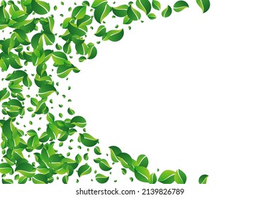 Forest Leaf Wind Vector White Background. Falling Greens Wallpaper. Grassy Foliage Motion Brochure. Leaves Herbal Branch.