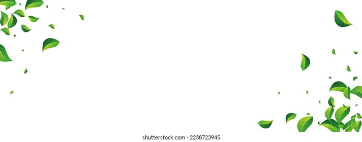 Forest Leaves Abstract Vector Panoramic White Background. Fresh Foliage Illustration. Olive Leaf Transparent Pattern. Greens Herbal Wallpaper.