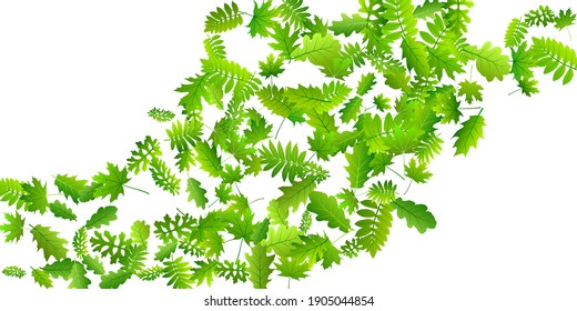Forest leaves abstract vector pattern. Wild forest foliage macro. Oak and maple leaves composition. Botanical natural design. Agriculture vivid vector.