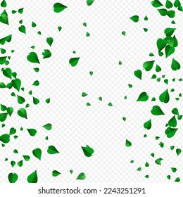 Forest Leaves Abstract Vector Transparent Background Branch. Realistic Foliage Design. Grassy Greens Tree Wallpaper. Leaf Swirl Border.