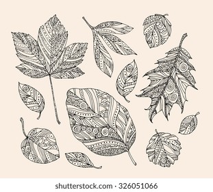 Forest leaves, autumn background. Vector. Hand drawn artwork. Set collection. Bohemia concept for wedding invitations, cards, tickets, congratulations, branding, logo, label. Black and white, beige
